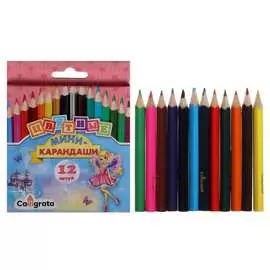 Карандаши Calligrata Принцесса 1014638