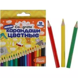 Карандаши Calligrata 1014636