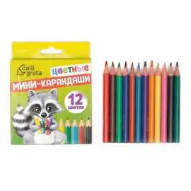 Карандаши Calligrata 712039