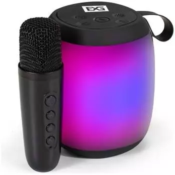 Караоке система ExeGate Bro 310 294944