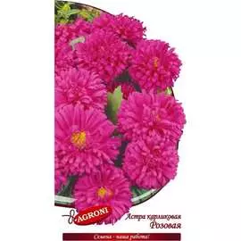 Карликовая астра семена Агрони