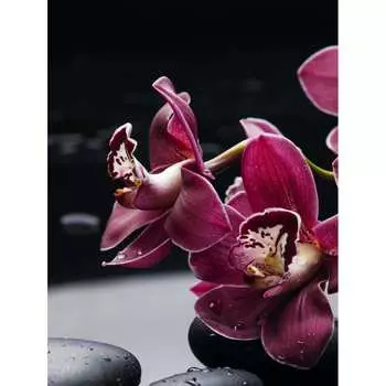 Картина на стекле ARTABOSKO