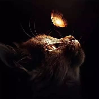 Картина на стекле ARTABOSKO