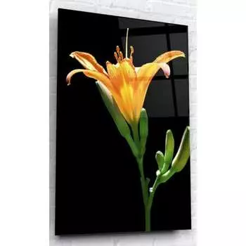 Картина на стекле ARTABOSKO