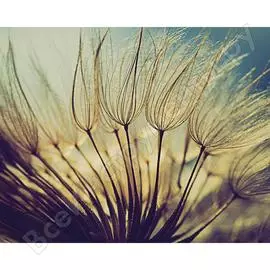 Картина на стекле декоретто воздушные лепестки gs 9007 декор