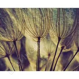 Картина на стекле декоретто воздушный одуванчик gs 9008 декор