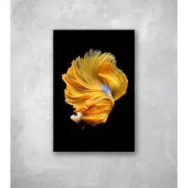 Картина на стекле ООО Оптион РЫБКА СИАМ желтая, 80429