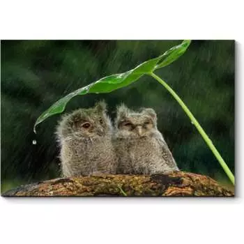 Картина Picsis 5739-11007147