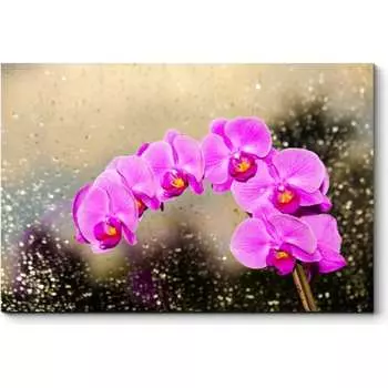 Картина Picsis 638-11535257