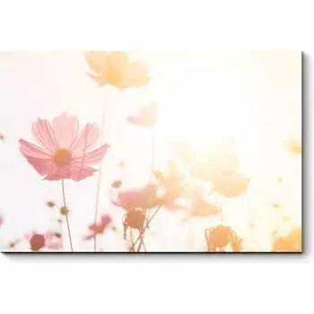 Картина Picsis 3351-10842940