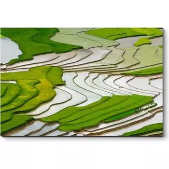 Картина Picsis 3101-10353896