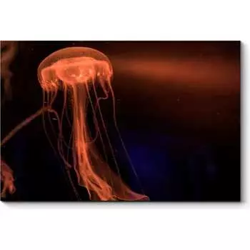 Картина Picsis 1218-10053543