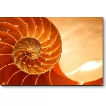 Картина Picsis 2131-10663175