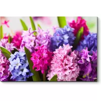 Картина Picsis 654-9927336