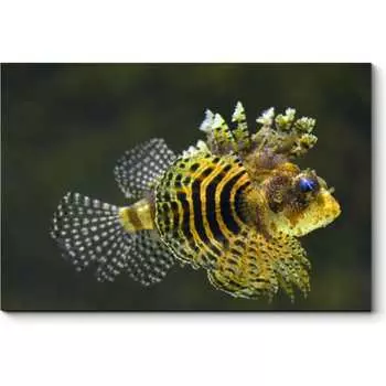 Картина Picsis 963-10485073