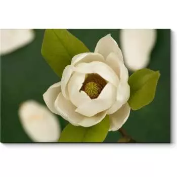 Картина Picsis 2827-10797620