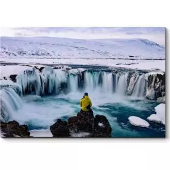 Картина Picsis 4253-10895106