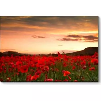 Картина Picsis 3454-9954475