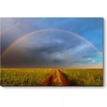 Картина Picsis 3061-10343449