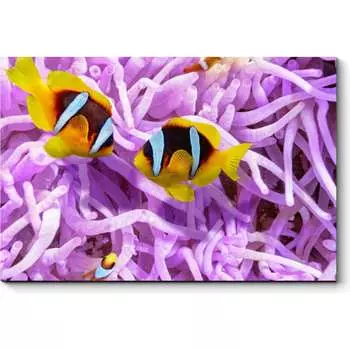 Картина Picsis 961-10484522