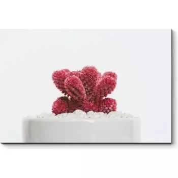 Картина Picsis 6392-13207063