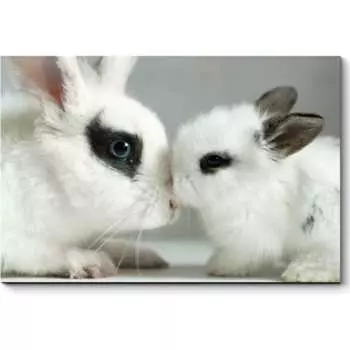 Картина Picsis 4977-10936699