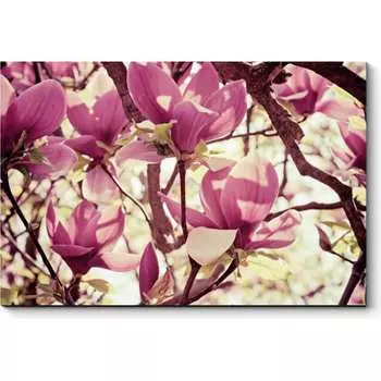 Картина Picsis 4567-10033295