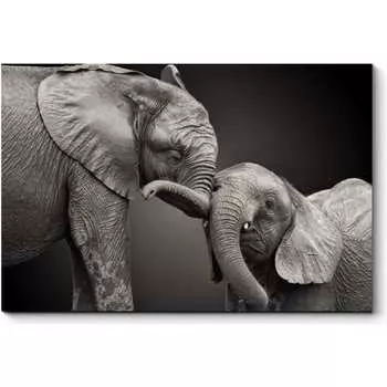 Картина Picsis 4761-10729660