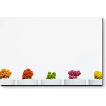 Картина Picsis 6401-13206933