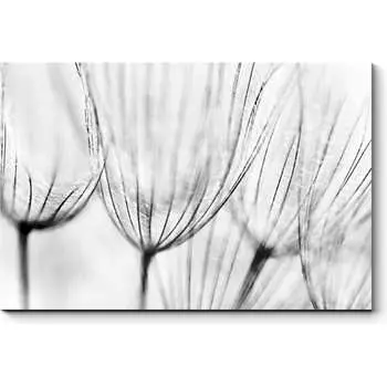 Картина Picsis 2400-9896615