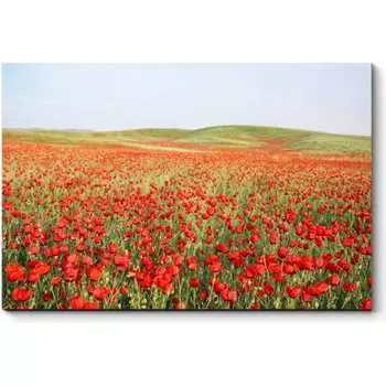 Картина Picsis 3463-9956458