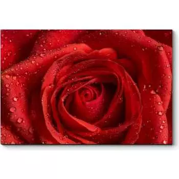 Картина Picsis 2431-10181947