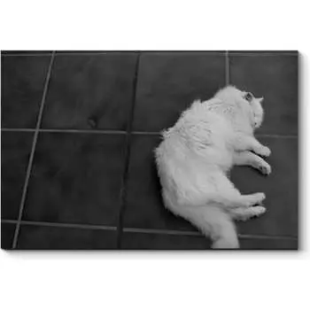 Картина Picsis 2458-10188442