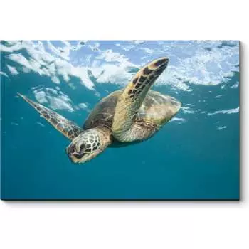 Картина Picsis 4936-10758083