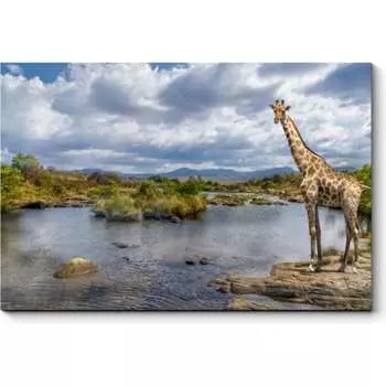 Картина Picsis 4987-10938011