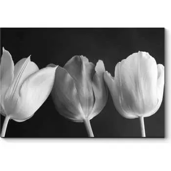 Картина Picsis 2573-10770365