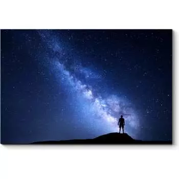 Картина Picsis 6027-13138093