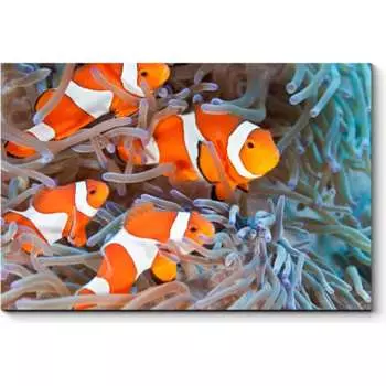 Картина Picsis 921-10456723