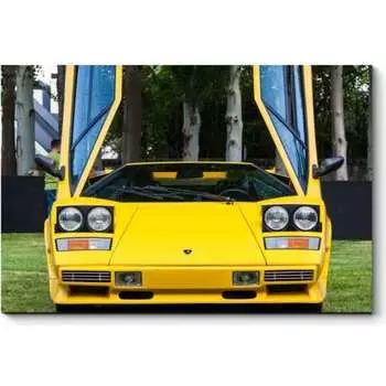 Картина Picsis 5333-10524634