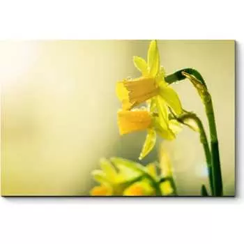 Картина Picsis 5980-13164820