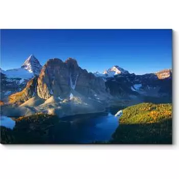 Картина Picsis 3166-10810009