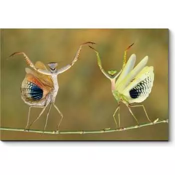 Картина Picsis 1391-10430952