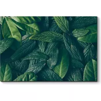 Картина Picsis 5457-10160566