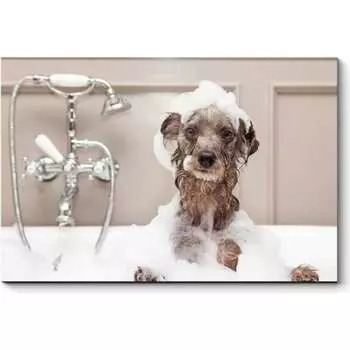 Картина Picsis 3690-10088276