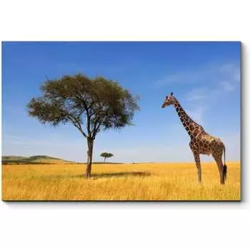 Картина Picsis 974-10487812