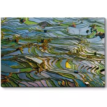 Картина Picsis 3108-10355708