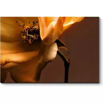 Картина Picsis 2397-9895786