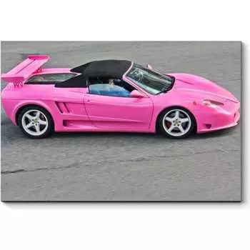 Картина Picsis 5427-10154583