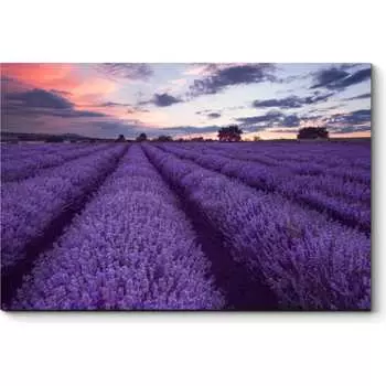 Картина Picsis 3446-9952435