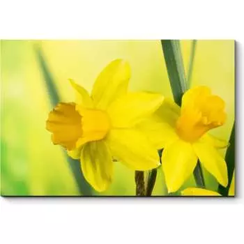 Картина Picsis 659-9928764